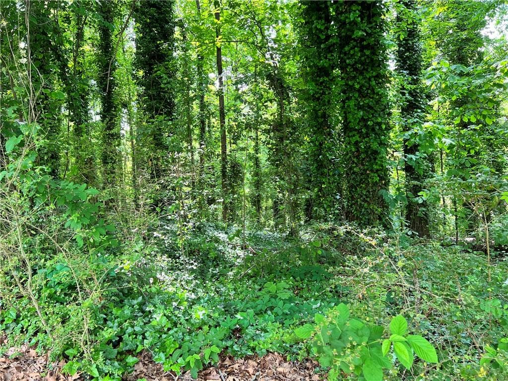 unimproved land for sale at 2642 Burton Road, Atlanta, GA 30311 — photo 1 of 1