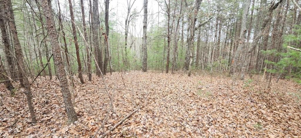 single family residence for sale at 361 Vista Dell Lane, Tallulah Falls, GA 30573 — photo 1 of 13