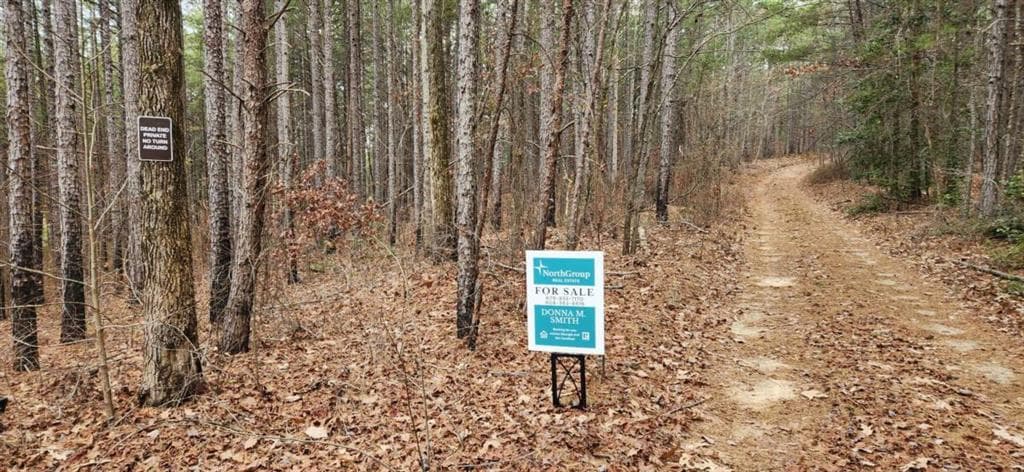 single family residence for sale at 361 Vista Dell Lane, Tallulah Falls, GA 30573 — photo 3