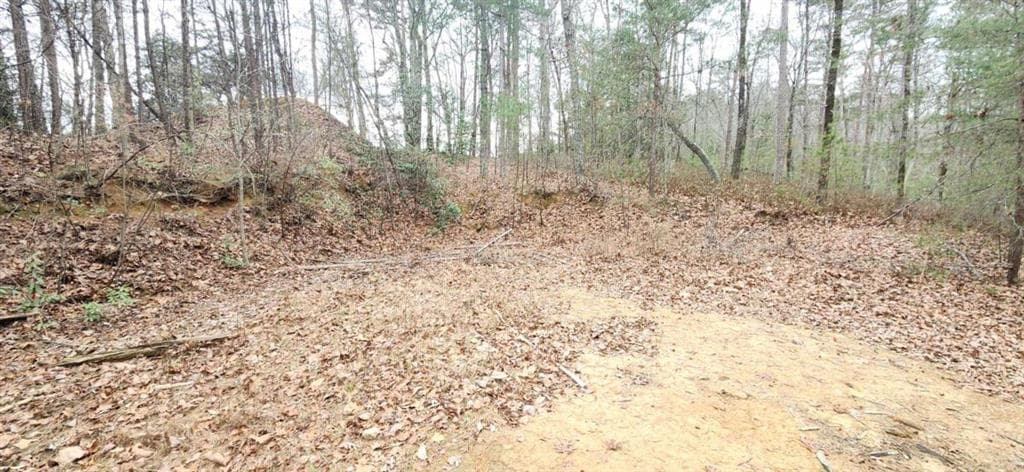 single family residence for sale at 361 Vista Dell Lane, Tallulah Falls, GA 30573 — photo 6