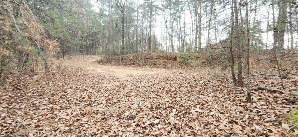 single family residence for sale at 361 Vista Dell Lane, Tallulah Falls, GA 30573 — photo 7