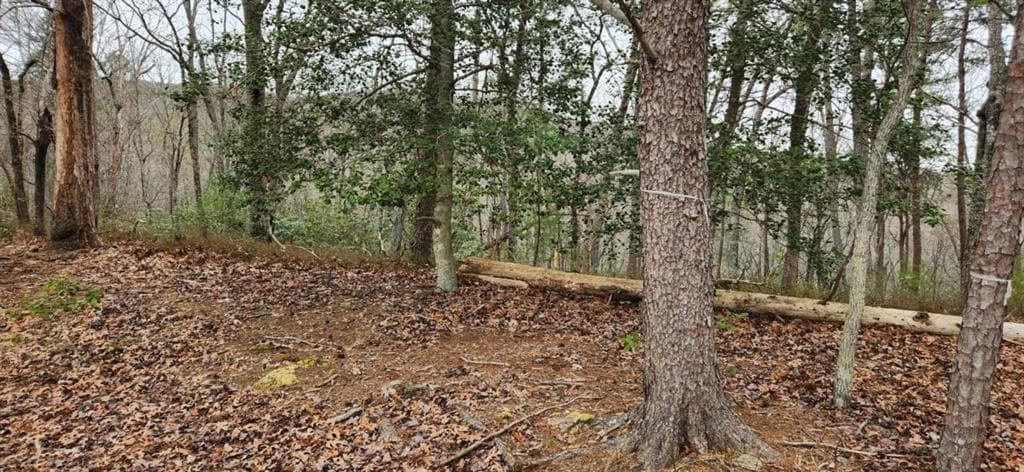single family residence for sale at 361 Vista Dell Lane, Tallulah Falls, GA 30573 — photo 8