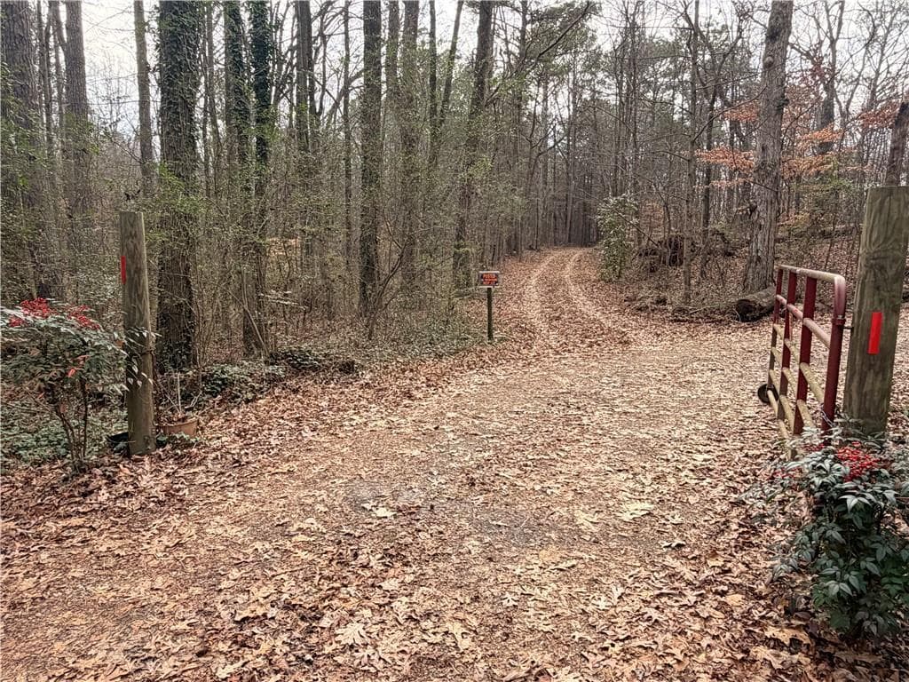 unimproved land for sale at 1830 Highway 27, Bremen, GA 30110 — photo 1 of 10