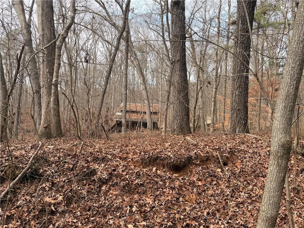 unimproved land for sale at 1830 Highway 27, Bremen, GA 30110 — photo 2