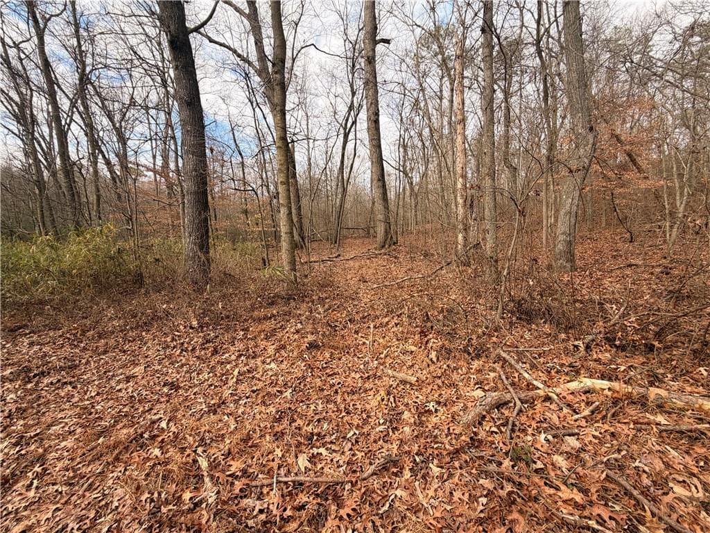 unimproved land for sale at 1830 Highway 27, Bremen, GA 30110 — photo 3