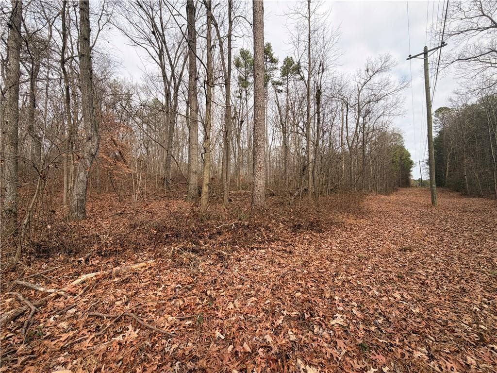 unimproved land for sale at 1830 Highway 27, Bremen, GA 30110 — photo 4