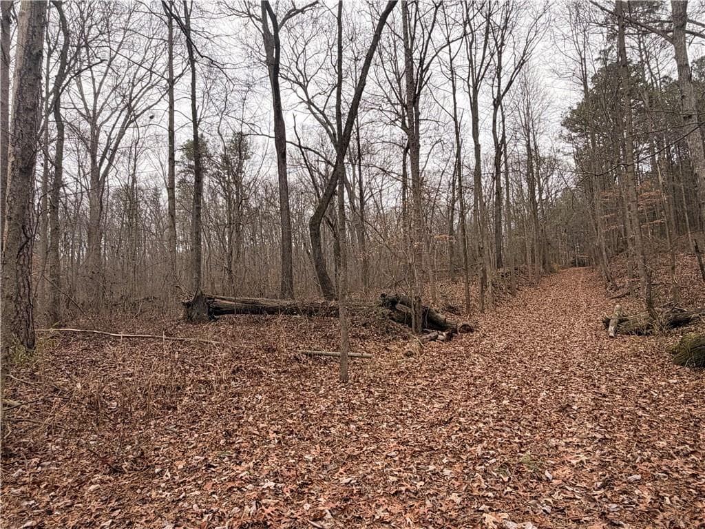 unimproved land for sale at 1830 Highway 27, Bremen, GA 30110 — photo 5