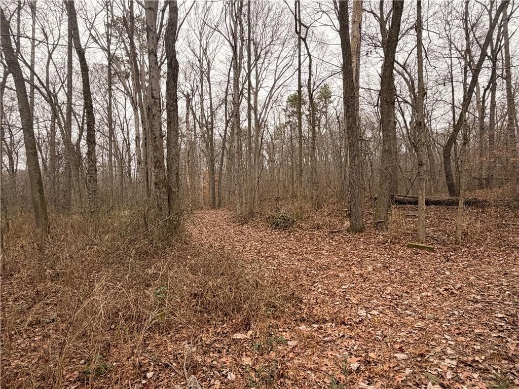 unimproved land for sale at 1830 Highway 27, Bremen, GA 30110 — photo 6