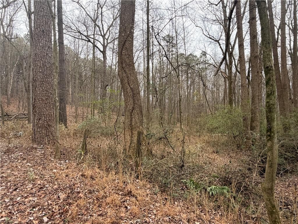 unimproved land for sale at 1830 Highway 27, Bremen, GA 30110 — photo 7