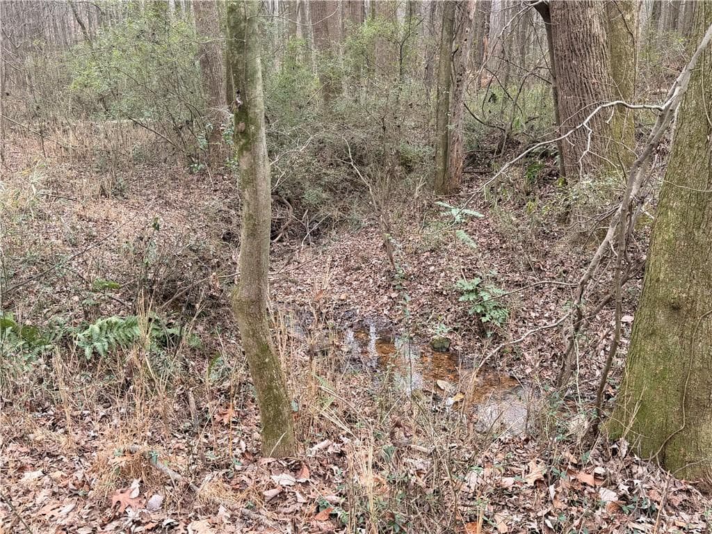 unimproved land for sale at 1830 Highway 27, Bremen, GA 30110 — photo 8