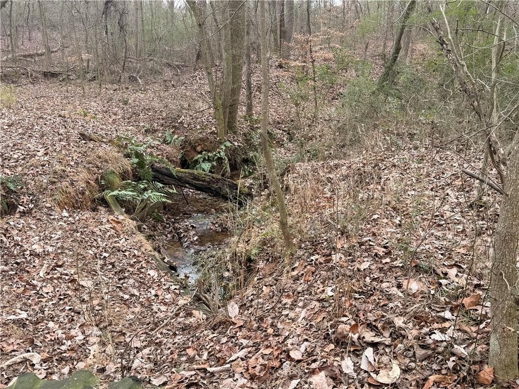 unimproved land for sale at 1830 Highway 27, Bremen, GA 30110 — photo 9