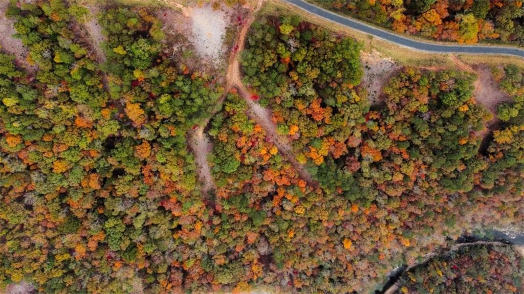 single family residence for sale at Lt 269 Canoe Way, Talking Rock, GA 30175 — photo 4