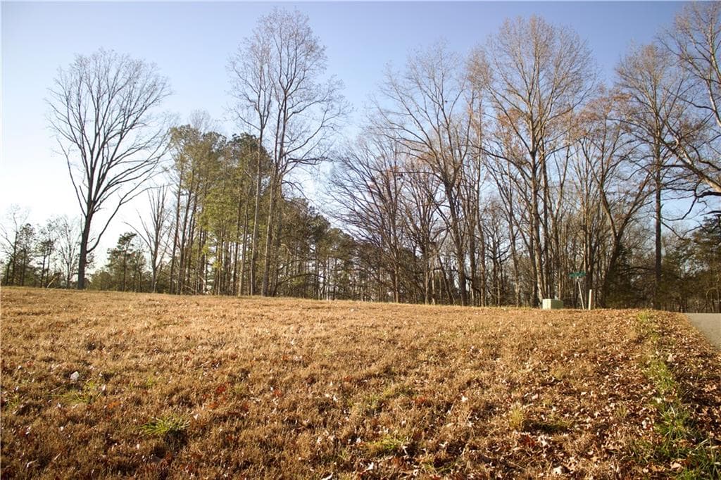 other for sale at 45 Keeling Lake Road, Cartersville, GA 30121 — photo 6
