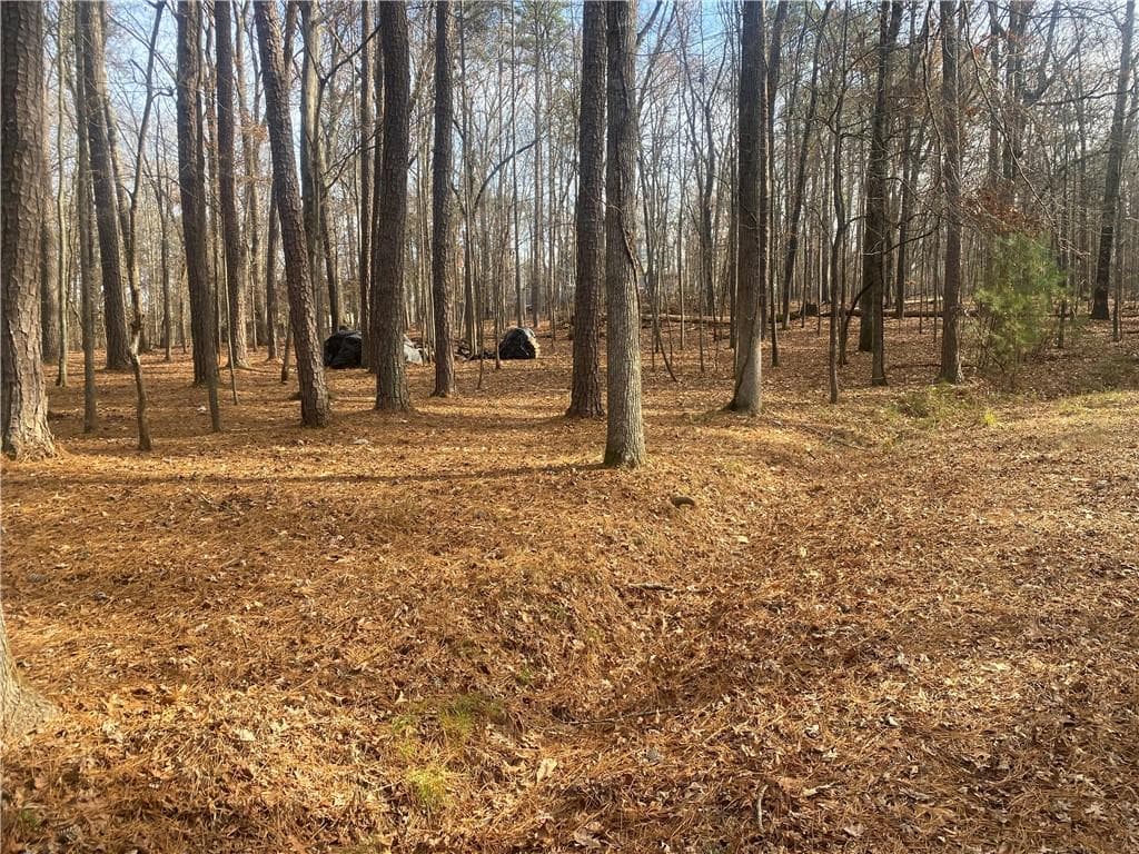 unimproved land for sale at 3353 Galts Road, Acworth, GA 30102 — photo 4