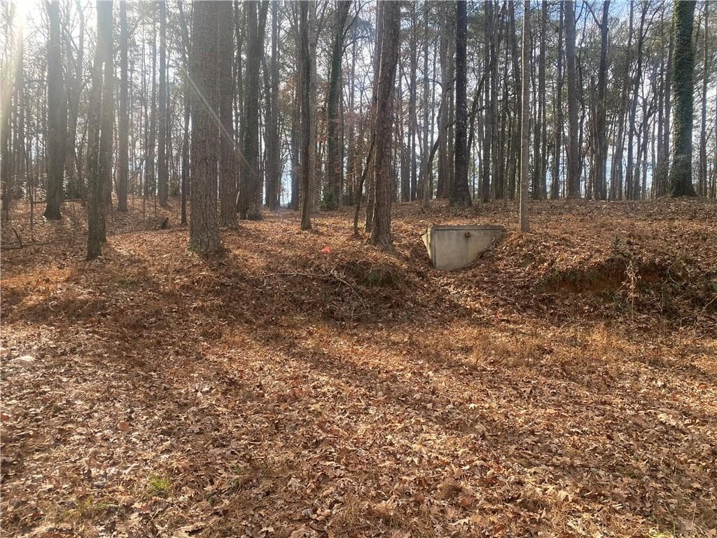 unimproved land for sale at 3353 Galts Road, Acworth, GA 30102 — photo 5