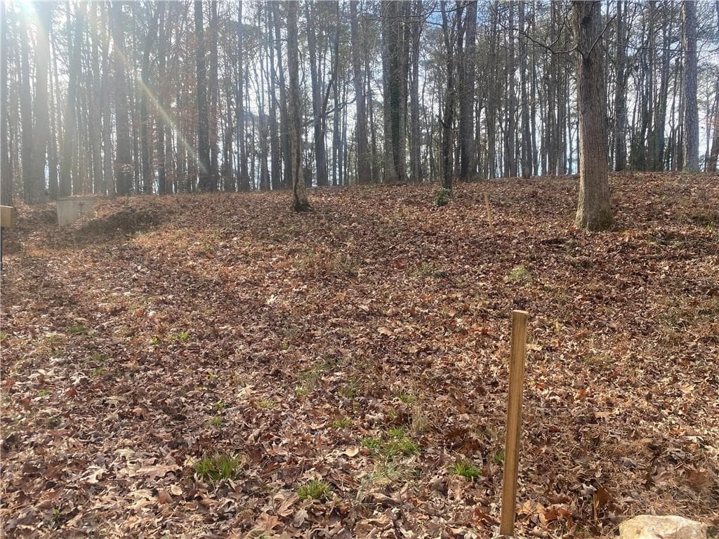 unimproved land for sale at 3353 Galts Road, Acworth, GA 30102 — photo 6