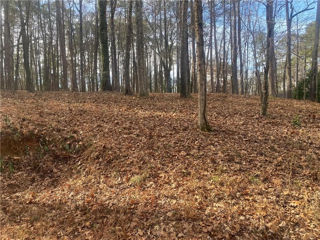unimproved land for sale at 3353 Galts Road, Acworth, GA 30102 — photo 7