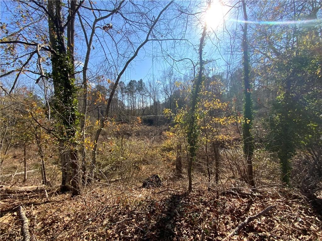 other for sale at 4070 Fairburn Road, Douglasville, GA 30135 — photo 9
