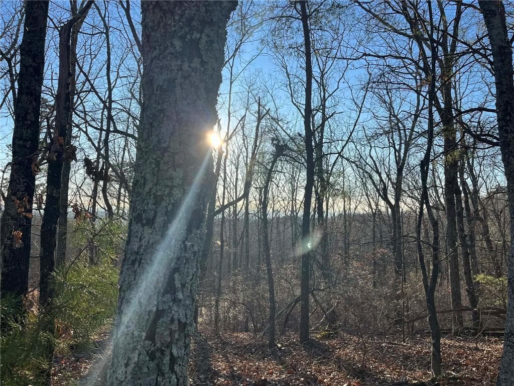 unimproved land for sale at 1171 Hunter Drive, Ranger, GA 30734 — photo 1 of 19
