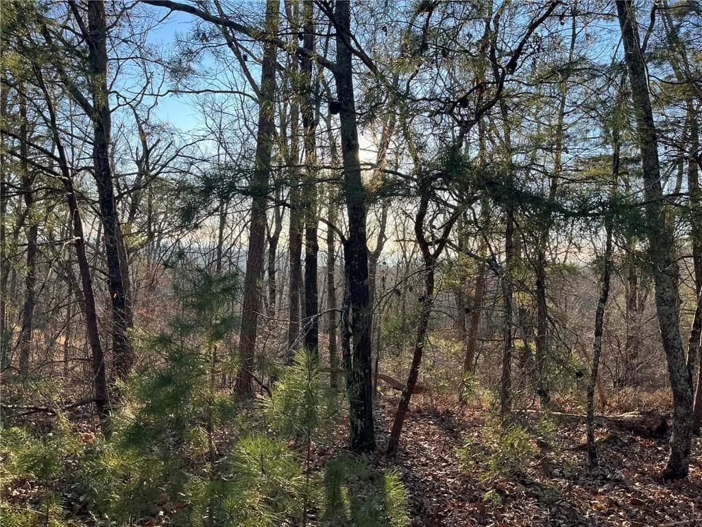 unimproved land for sale at 1171 Hunter Drive, Ranger, GA 30734 — photo 2