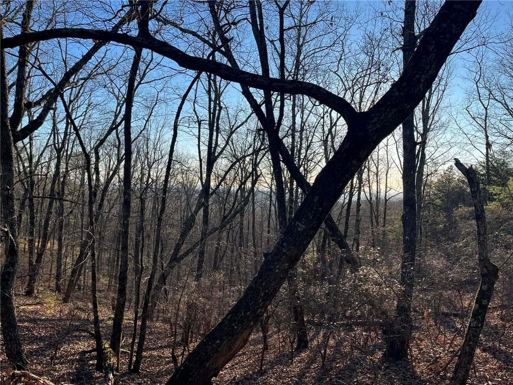 unimproved land for sale at 1171 Hunter Drive, Ranger, GA 30734 — photo 3