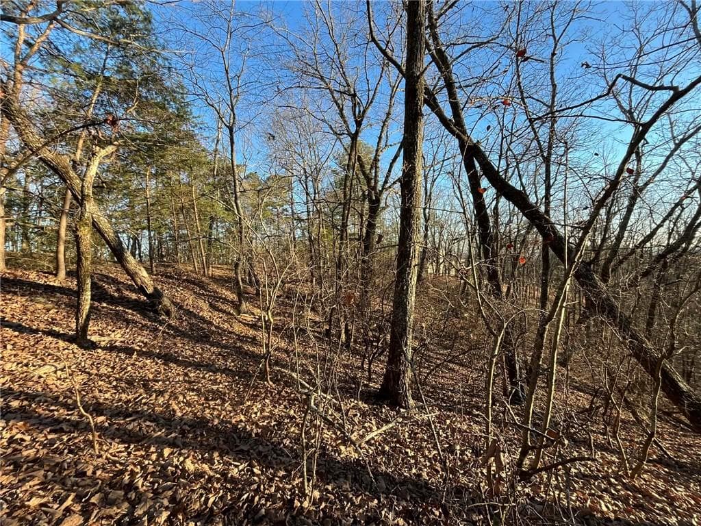 unimproved land for sale at 1171 Hunter Drive, Ranger, GA 30734 — photo 4