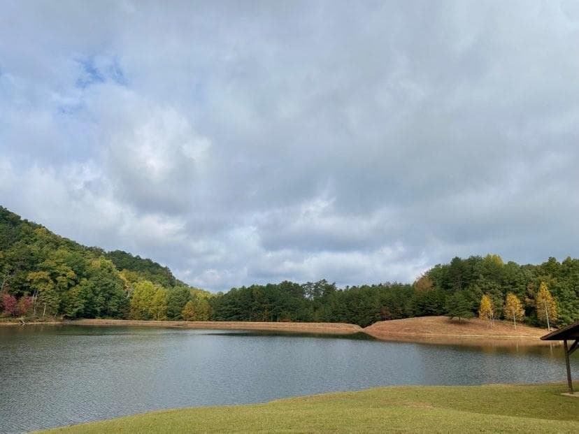 unimproved land for sale at 1171 Hunter Drive, Ranger, GA 30734 — photo 9