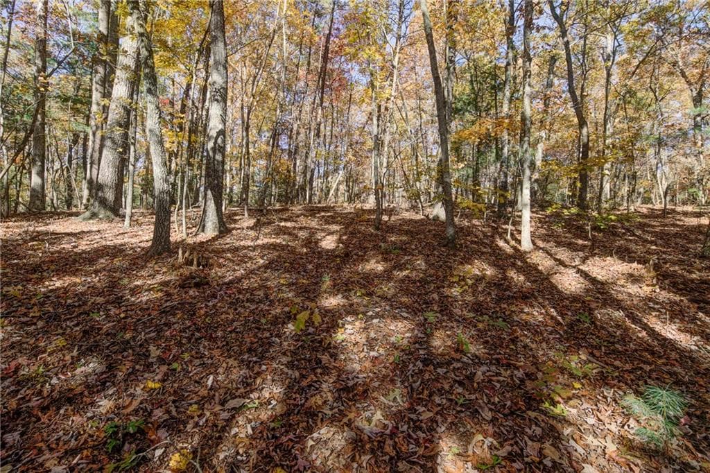 single family residence for sale at 00 Elliott Family Parkway, Dawsonville, GA 30534