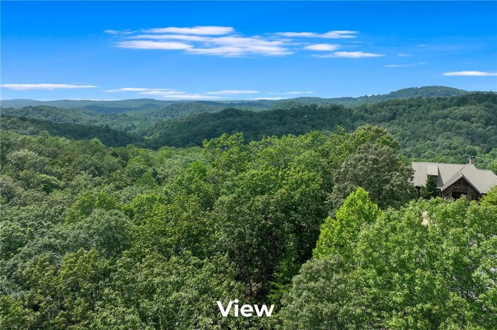 single family residence for sale at 1042 Bruin Court, Dahlonega, GA 30533 — photo 9
