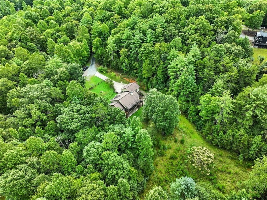 87 Dillons Lane, Morganton, GA 30560 — most recent listing photo