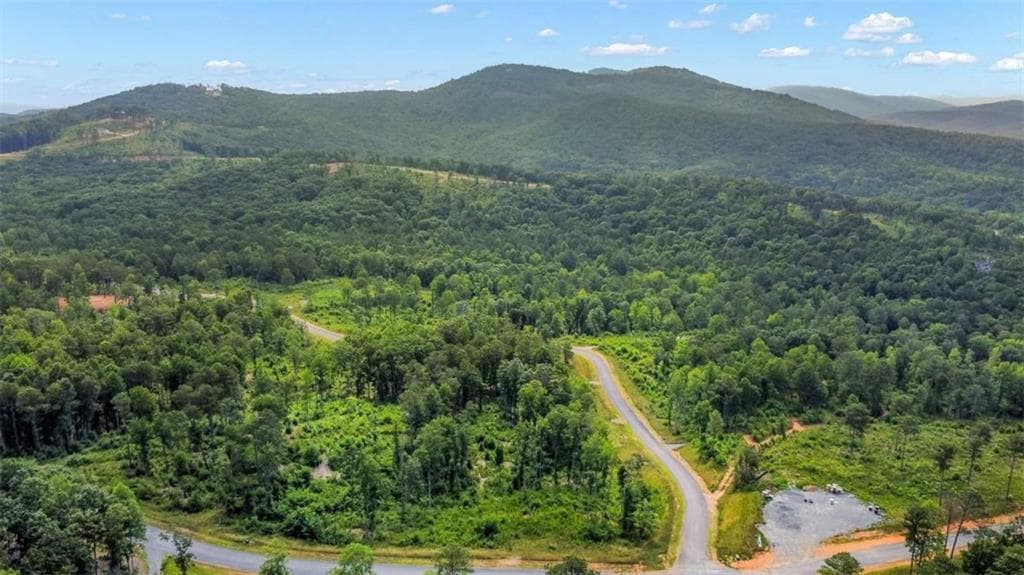 single family residence for sale at LT 128 Twisted Oak Road, Talking Rock, GA 30175 — photo 2