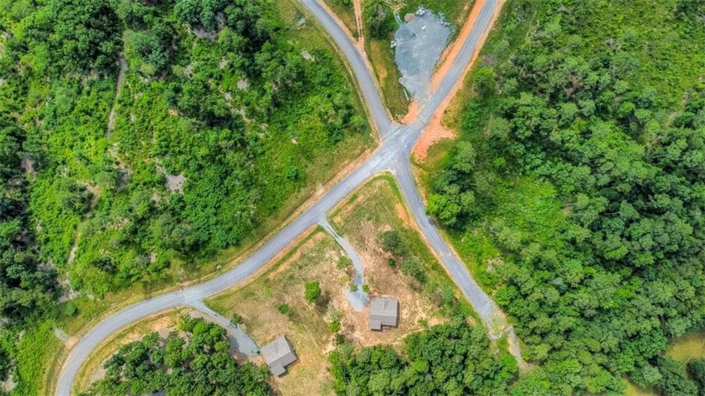 single family residence for sale at LT 128 Twisted Oak Road, Talking Rock, GA 30175 — photo 5