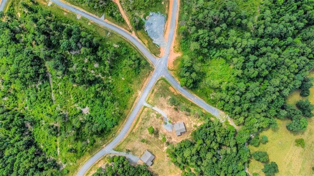 single family residence for sale at LT 128 Twisted Oak Road, Talking Rock, GA 30175 — photo 6