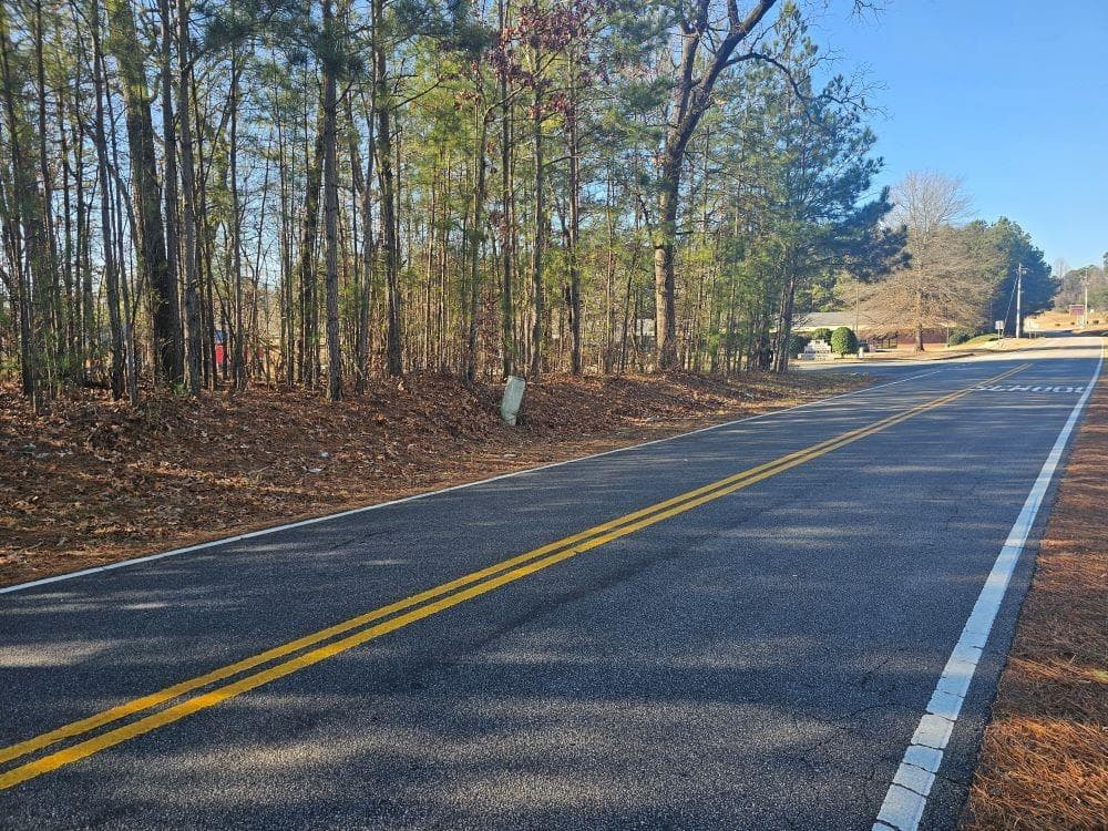 unimproved land for sale at 5501 Radford Road, Flowery Branch, GA 30542 — photo 3