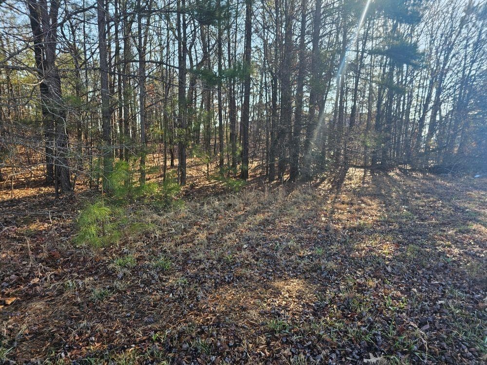 unimproved land for sale at 5501 Radford Road, Flowery Branch, GA 30542 — photo 4