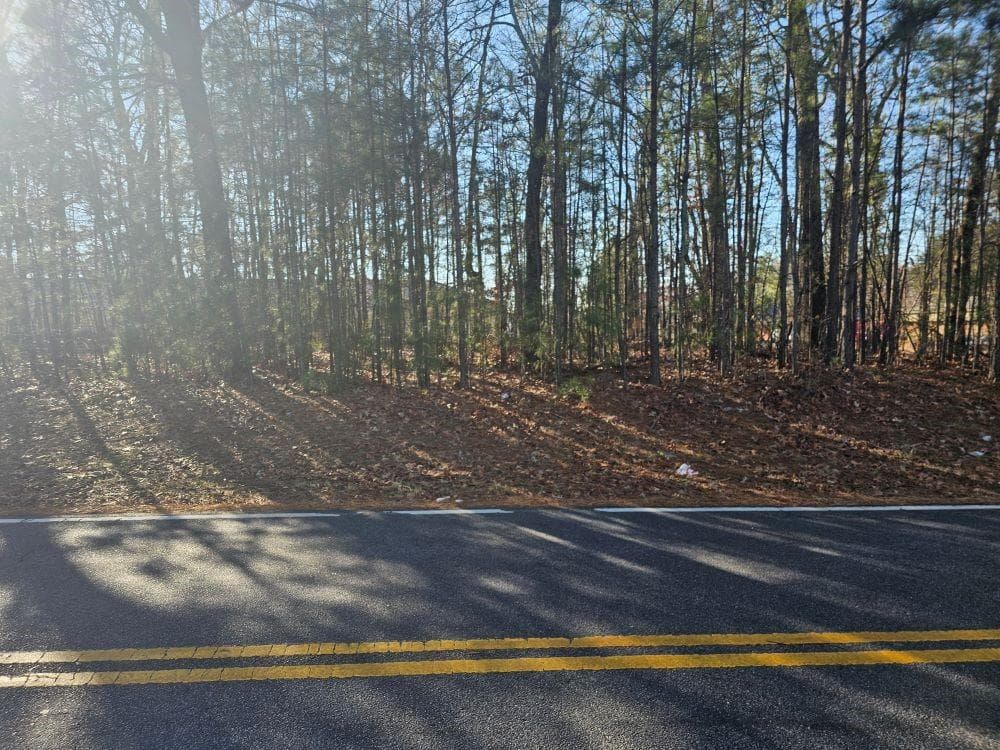 unimproved land for sale at 5501 Radford Road, Flowery Branch, GA 30542 — photo 5