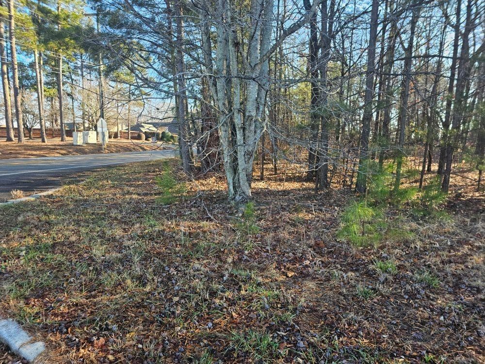 unimproved land for sale at 5501 Radford Road, Flowery Branch, GA 30542 — photo 6