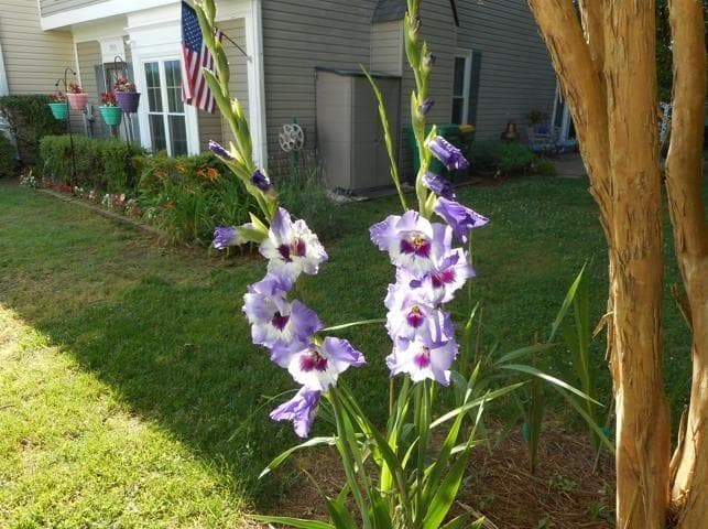 2 bedroom, 3 bathroom, 1,674 sq ft townhouse for sale at 3555 MONTICELLO, Peachtree Corners, GA 30092 — photo 8