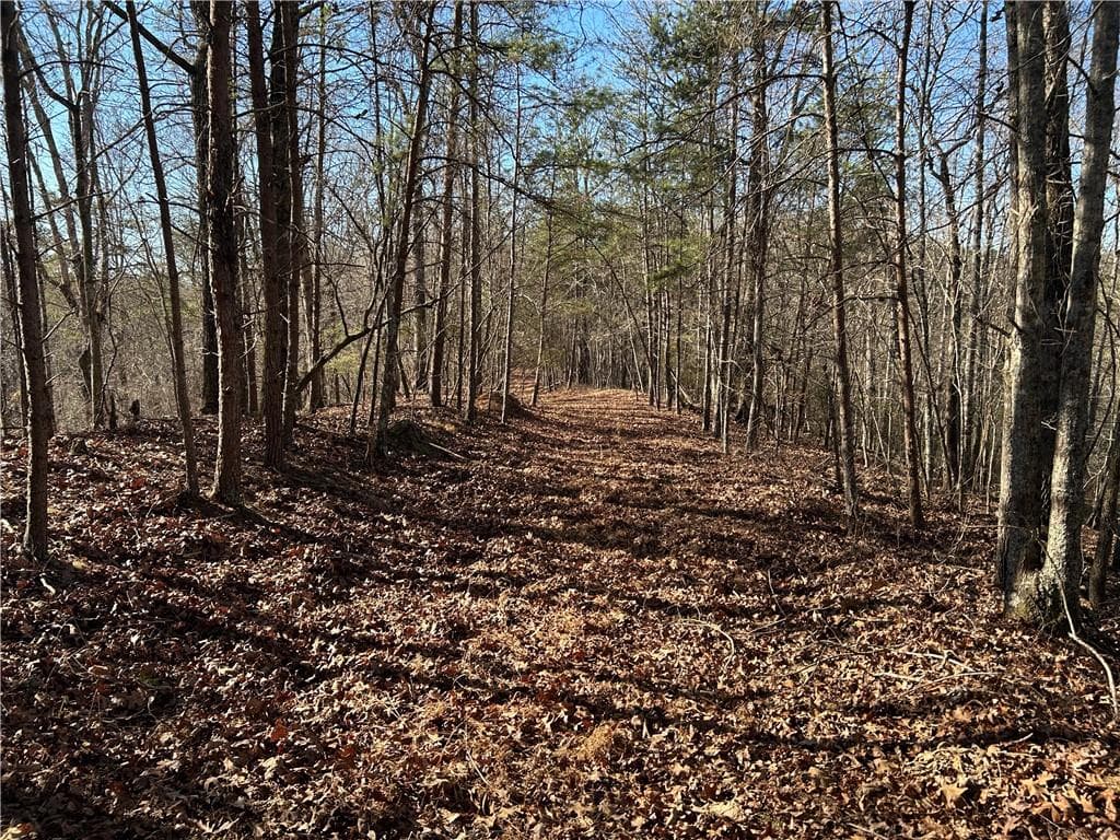 unimproved land for sale at 00 Twin River Orchard Road, Demorest, GA 30535 — photo 2