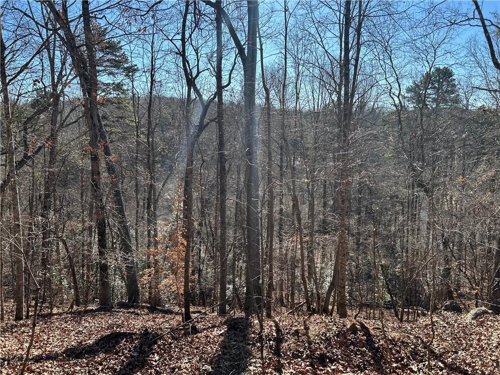unimproved land for sale at 00 Twin River Orchard Road, Demorest, GA 30535 — photo 3