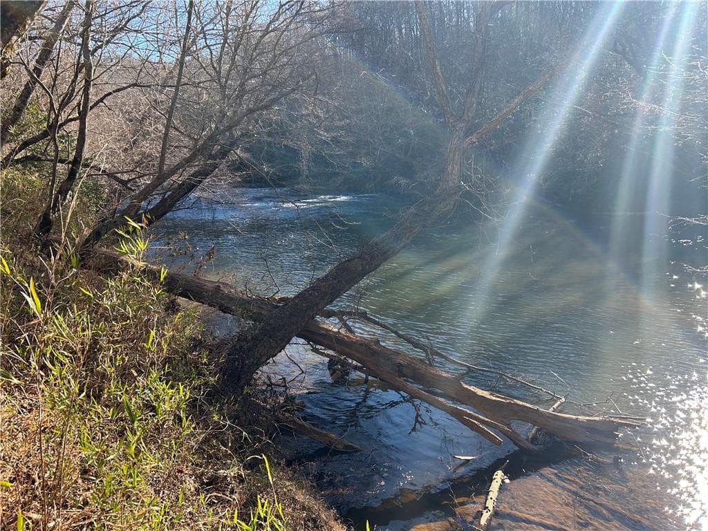 unimproved land for sale at 00 Twin River Orchard Road, Demorest, GA 30535 — photo 4