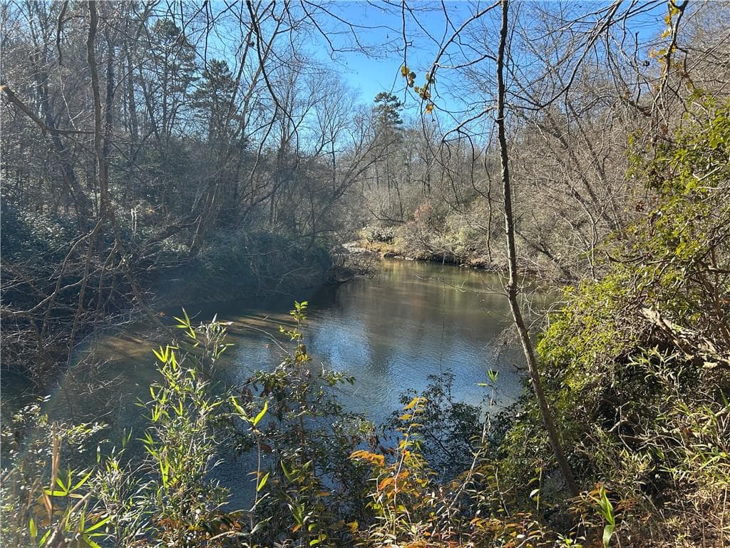 unimproved land for sale at 00 Twin River Orchard Road, Demorest, GA 30535 — photo 6