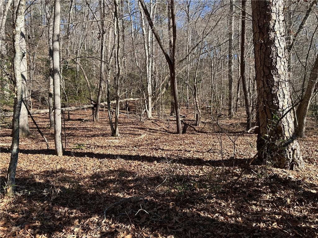 unimproved land for sale at 00 Twin River Orchard Road, Demorest, GA 30535 — photo 7