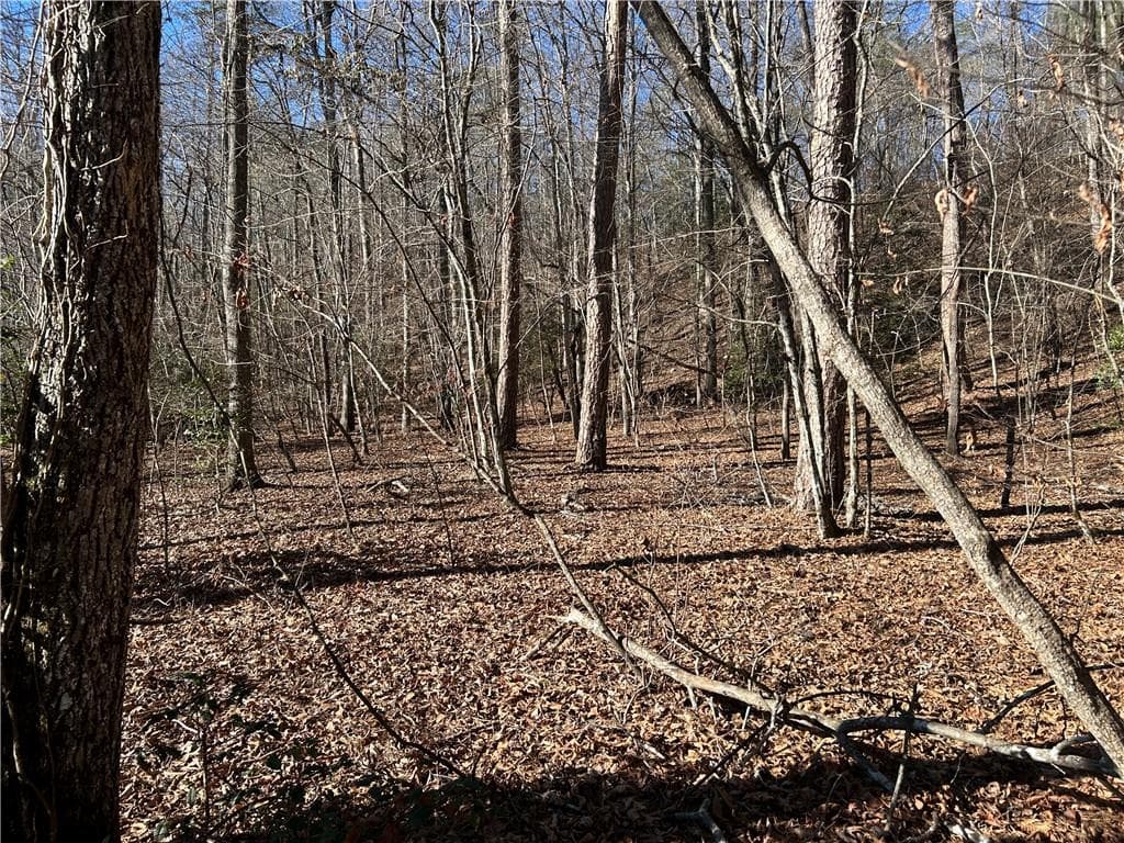 unimproved land for sale at 00 Twin River Orchard Road, Demorest, GA 30535 — photo 8