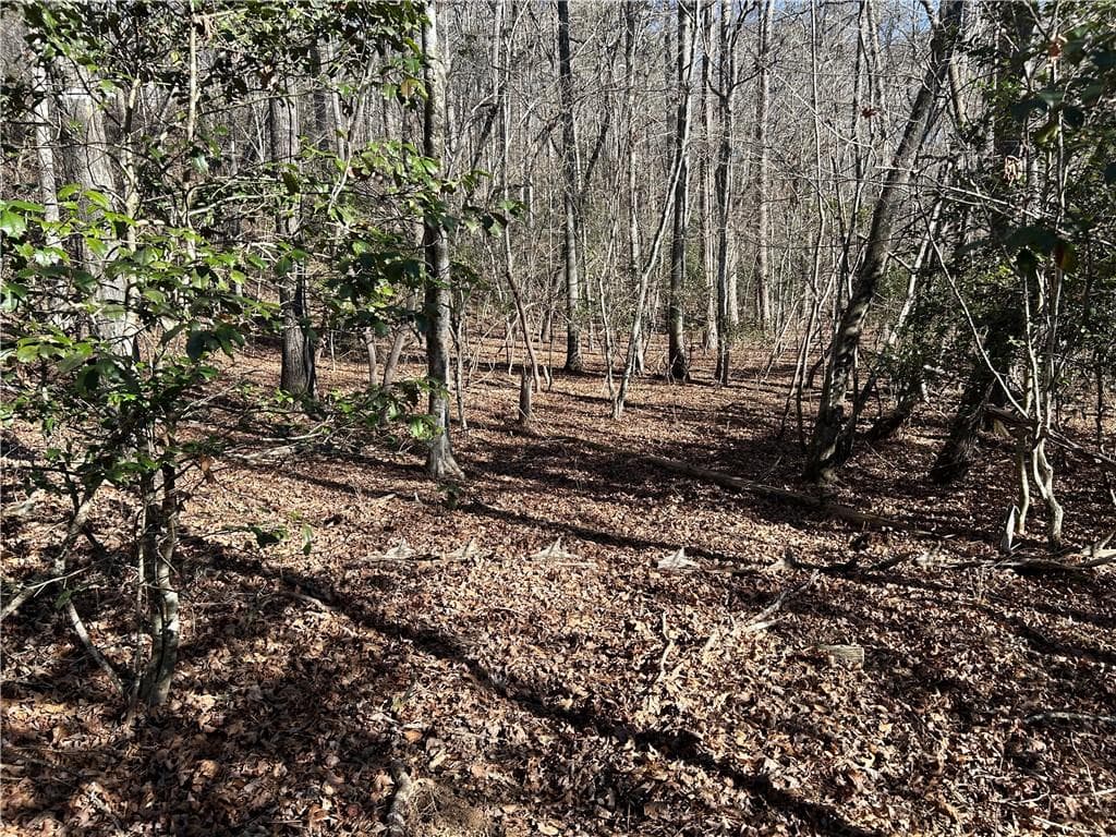 unimproved land for sale at 00 Twin River Orchard Road, Demorest, GA 30535 — photo 10