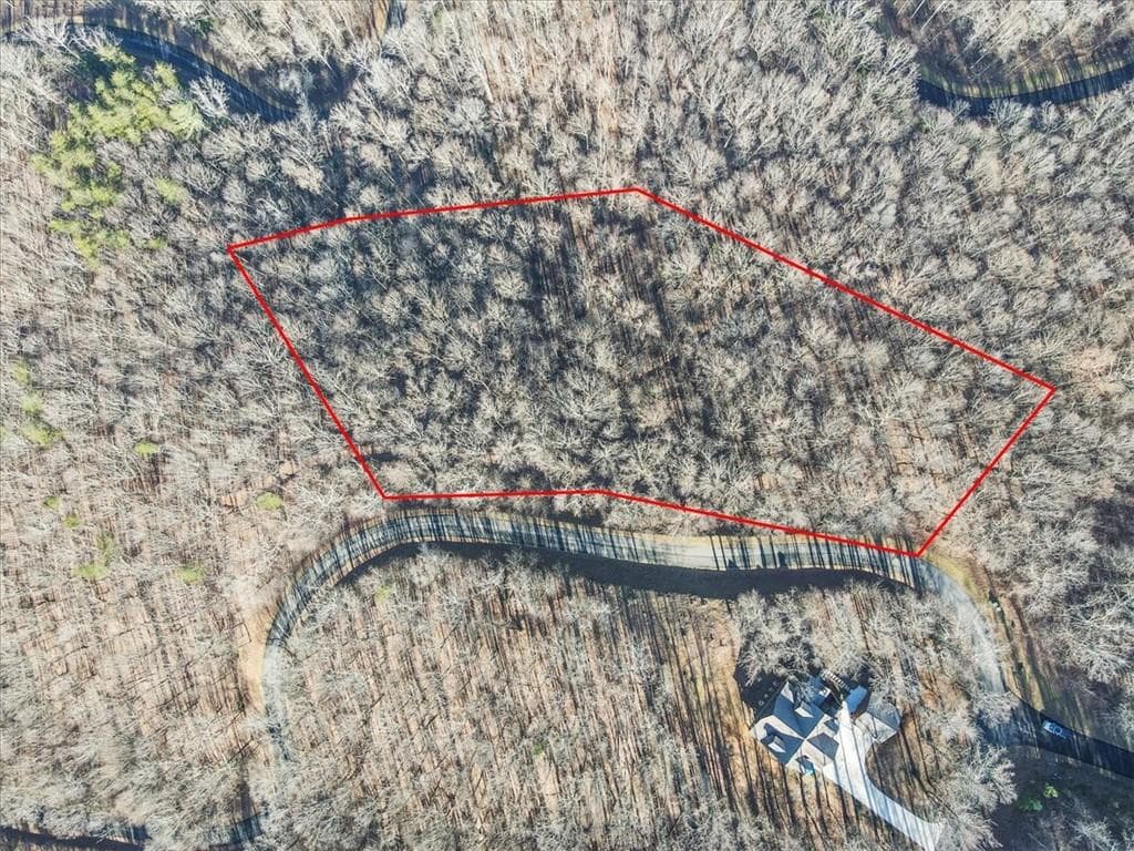 unimproved land for sale at 0 Mountain Side Parkway, Ellijay, GA 30536 — photo 3