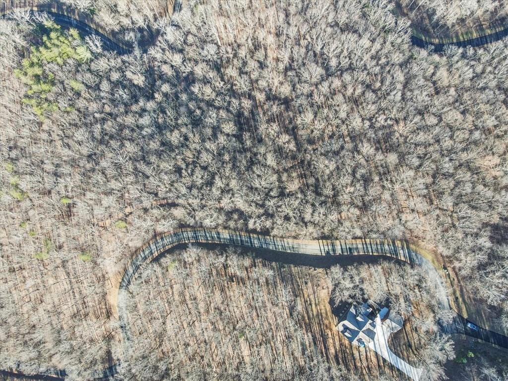 unimproved land for sale at 0 Mountain Side Parkway, Ellijay, GA 30536 — photo 4