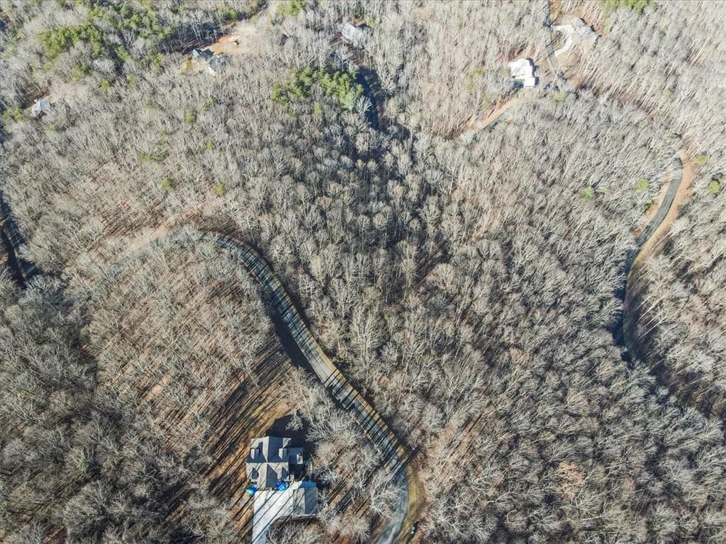 unimproved land for sale at 0 Mountain Side Parkway, Ellijay, GA 30536 — photo 6