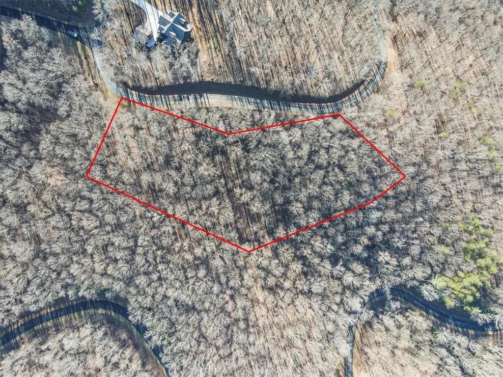 unimproved land for sale at 0 Mountain Side Parkway, Ellijay, GA 30536 — photo 7