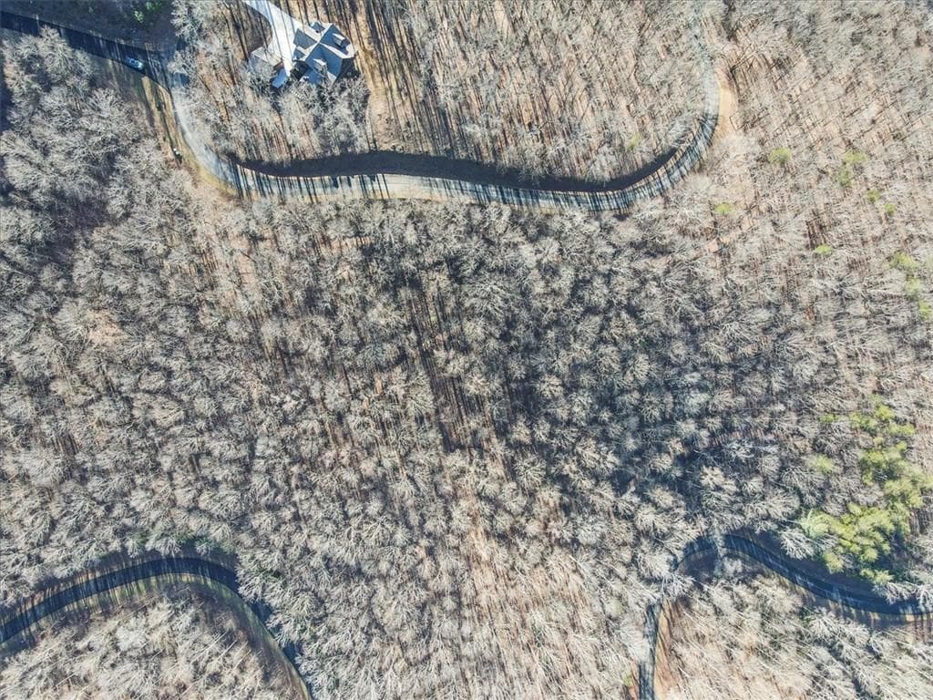unimproved land for sale at 0 Mountain Side Parkway, Ellijay, GA 30536 — photo 8